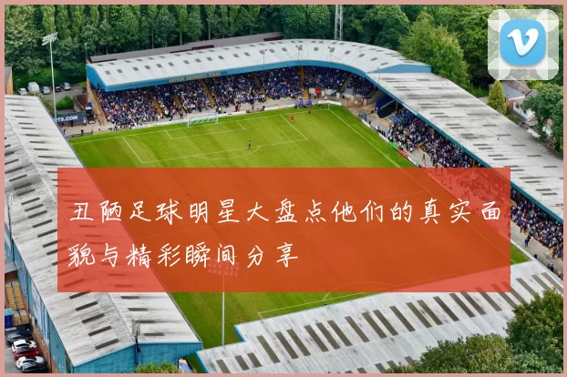 丑陋足球明星大盘点他们的真实面貌与精彩瞬间分享