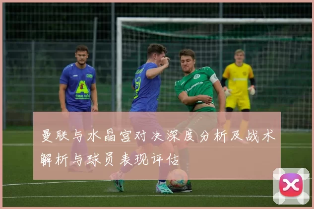 曼联与水晶宫对决深度分析及战术解析与球员表现评估