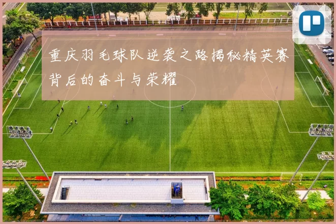 重庆羽毛球队逆袭之路揭秘精英赛背后的奋斗与荣耀