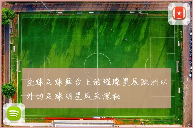 全球足球舞台上的璀璨星辰欧洲以外的足球明星风采探秘