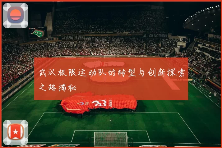 武汉极限运动队的转型与创新探索之路揭秘