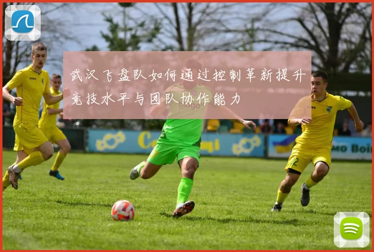 武汉飞盘队如何通过控制革新提升竞技水平与团队协作能力