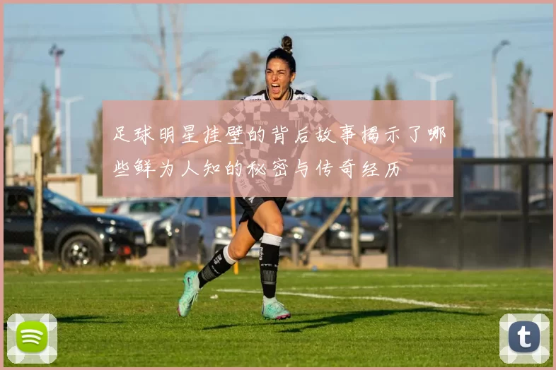 足球明星挂壁的背后故事揭示了哪些鲜为人知的秘密与传奇经历