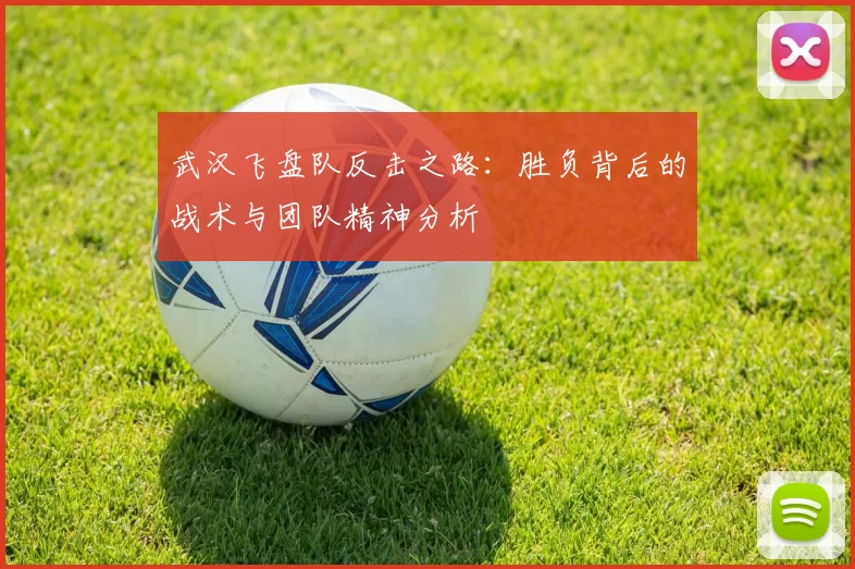 武汉飞盘队反击之路：胜负背后的战术与团队精神分析