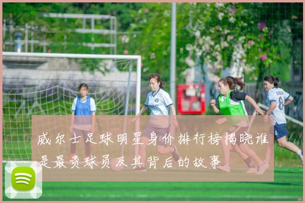 威尔士足球明星身价排行榜揭晓谁是最贵球员及其背后的故事