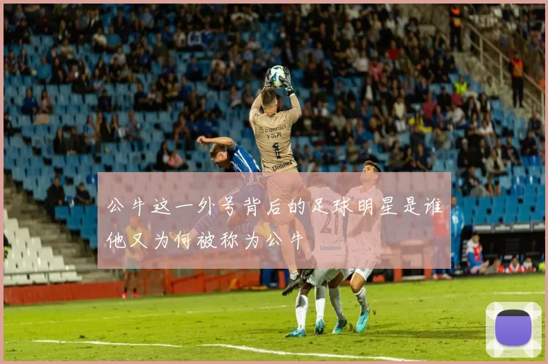 公牛这一外号背后的足球明星是谁他又为何被称为公牛
